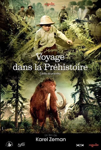 Movie poster for "VOYAGE DANS LA PRÉHISTOIRE"