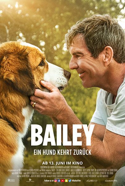Movie poster for "A DOG'S JOURNEY"