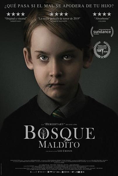 Movie poster for "THE HOLE IN THE GROUND"
