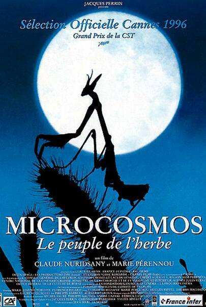 Movie poster for "MICROCOSMOS : LE PEUPLE DE L'HERBE"